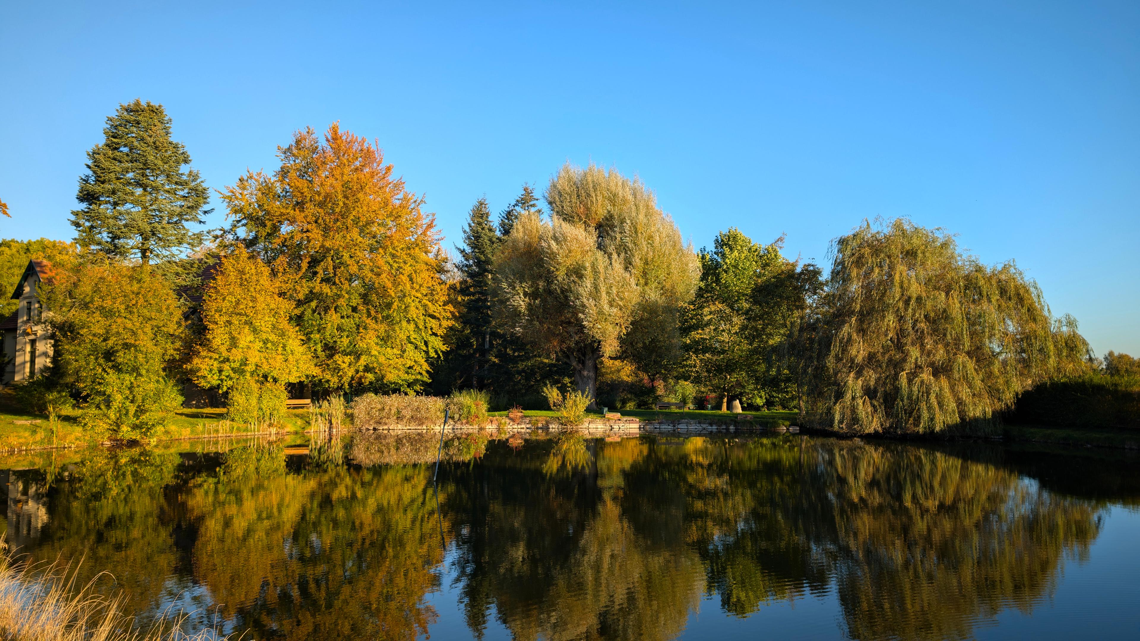 Das Bild zeigt einen Teich. Auf der fast glatten Wasseroberfläche spiegeln sich die in einem kleinen Park am gegenüberliegenden Ufer stehenden Bäume, deren Blätter gerade beginnen, sich herbstlich rot und gelb zu färben. 
Blauer, wolkenloser Himmel.