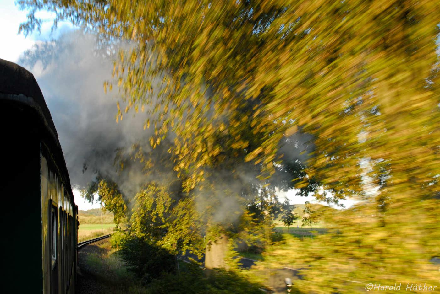 Blick aus dem Zug, gezogen von einer Dampflokomotive. Der Rauch der Lok verfängt sich in der herbstlichen Blättern der Bäume am Streckenrand.