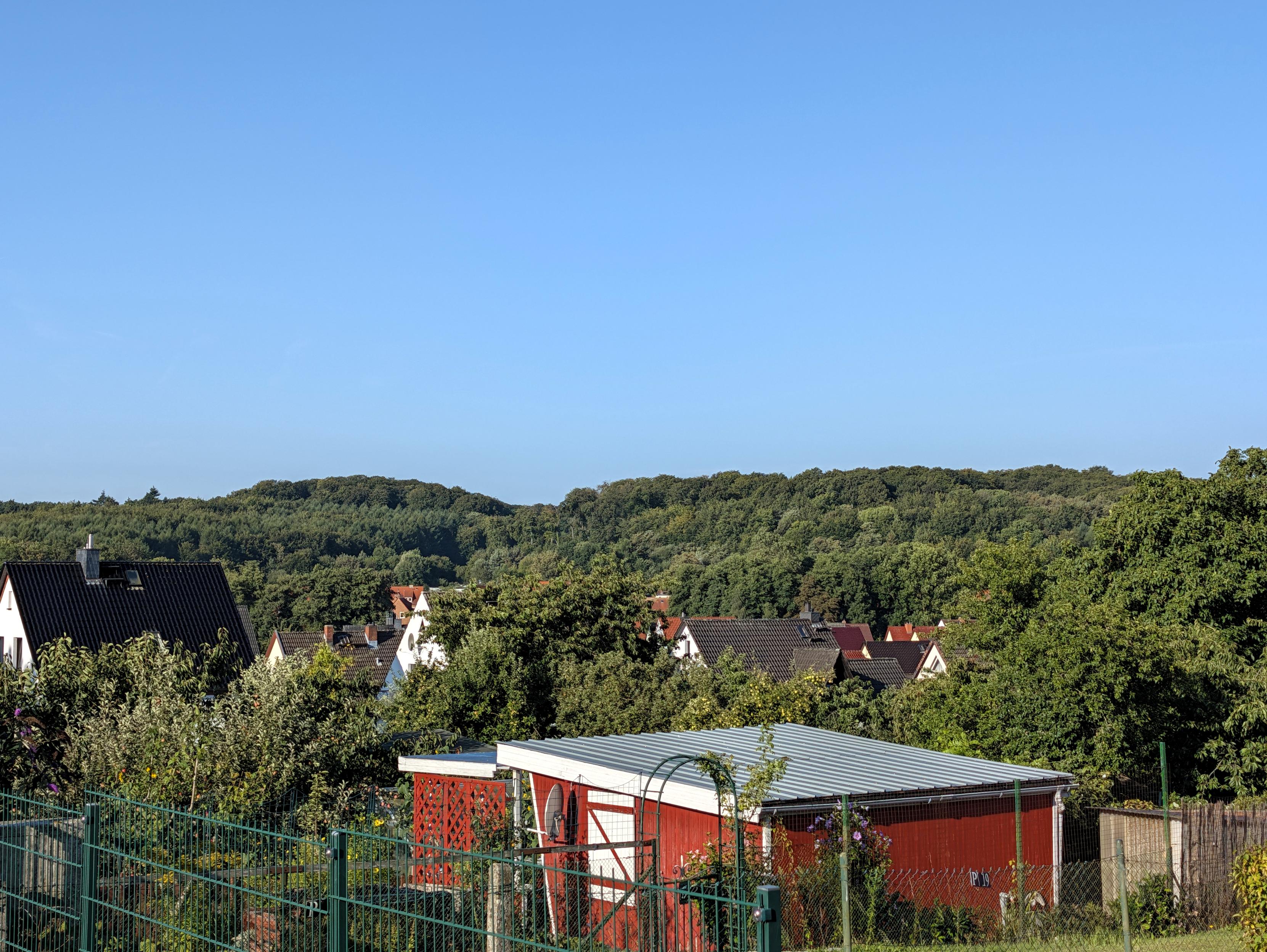 Der Betrachter blickt von einem erhöhten Standort aus über Gärten und Häuser hinweg auf dichten grünen Laubwald.
Im Vordergrund eine grüner Zaun. Dahinter eine rot und weiß gestrichene Gartenlaube aus Holz. Weiter hinten und tiefer gelegen sind die Dächer von Einfamilienhäusern zu erkennen. Dahinter steigt das mit Rotbuchen bewachsene Gelände wieder an.
Blauer, wolkenloser Himmel.
