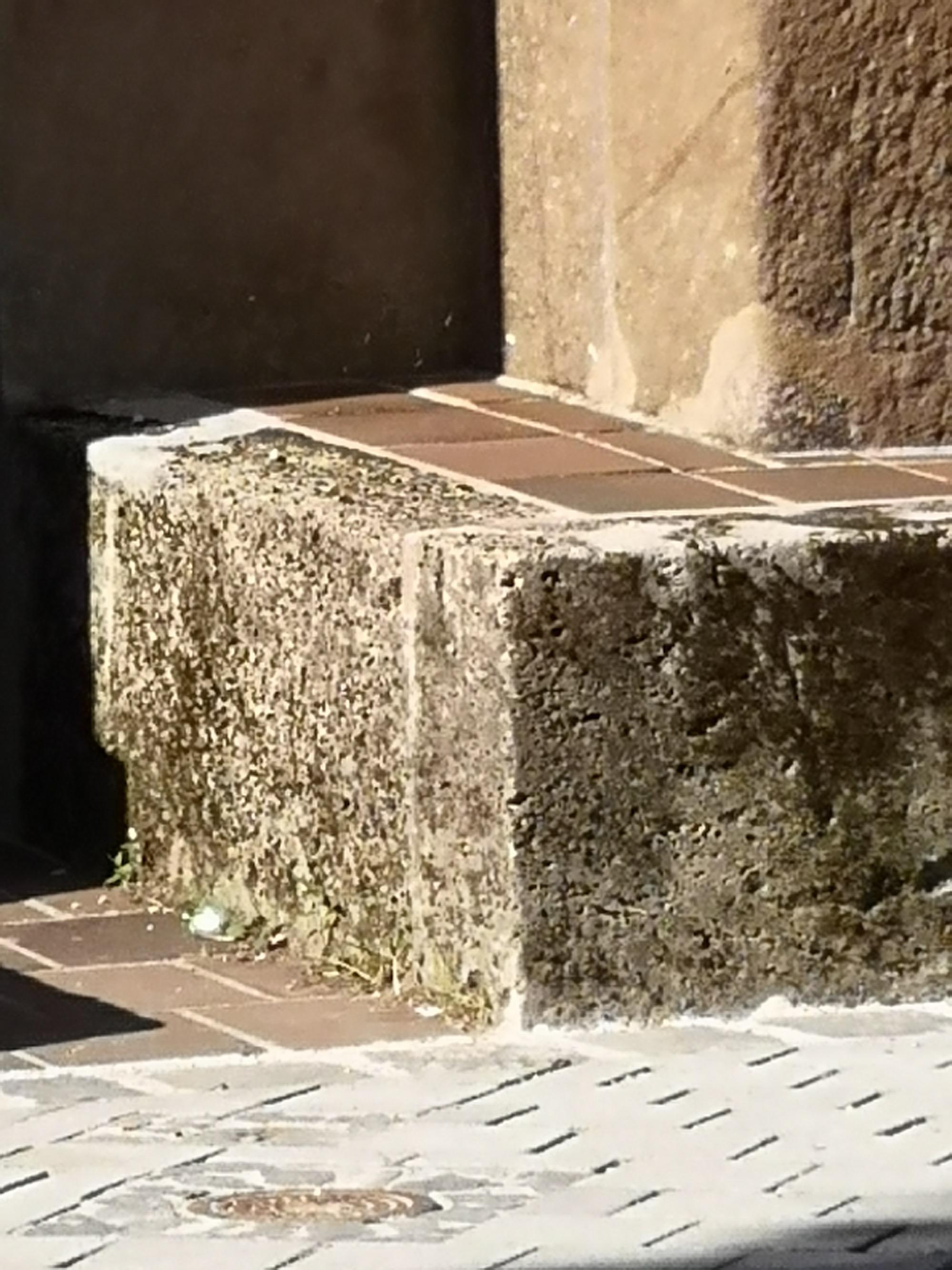 Nahaufnahme von rauen Betonstufen und gefliesten Flächen im grellen Sonnenlicht, unterbrochen von tiefen, geometrischen Schatten.