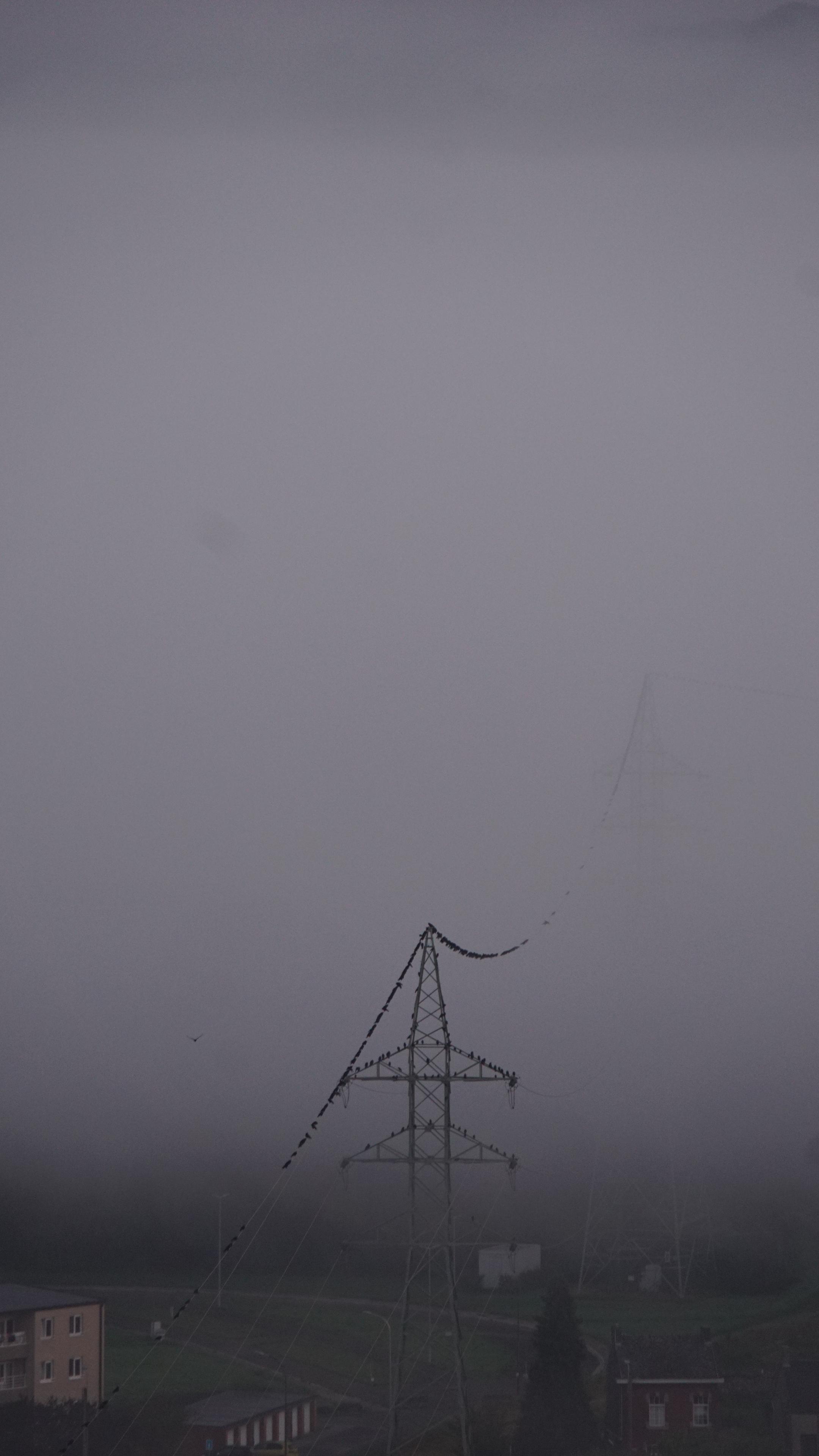 Blick aus der Vogelperspektive auf einen Strommasten. Auf Mast und Kabel sitzen ganz viele schwarze vogel. Die Szenerie versinkt im nebel