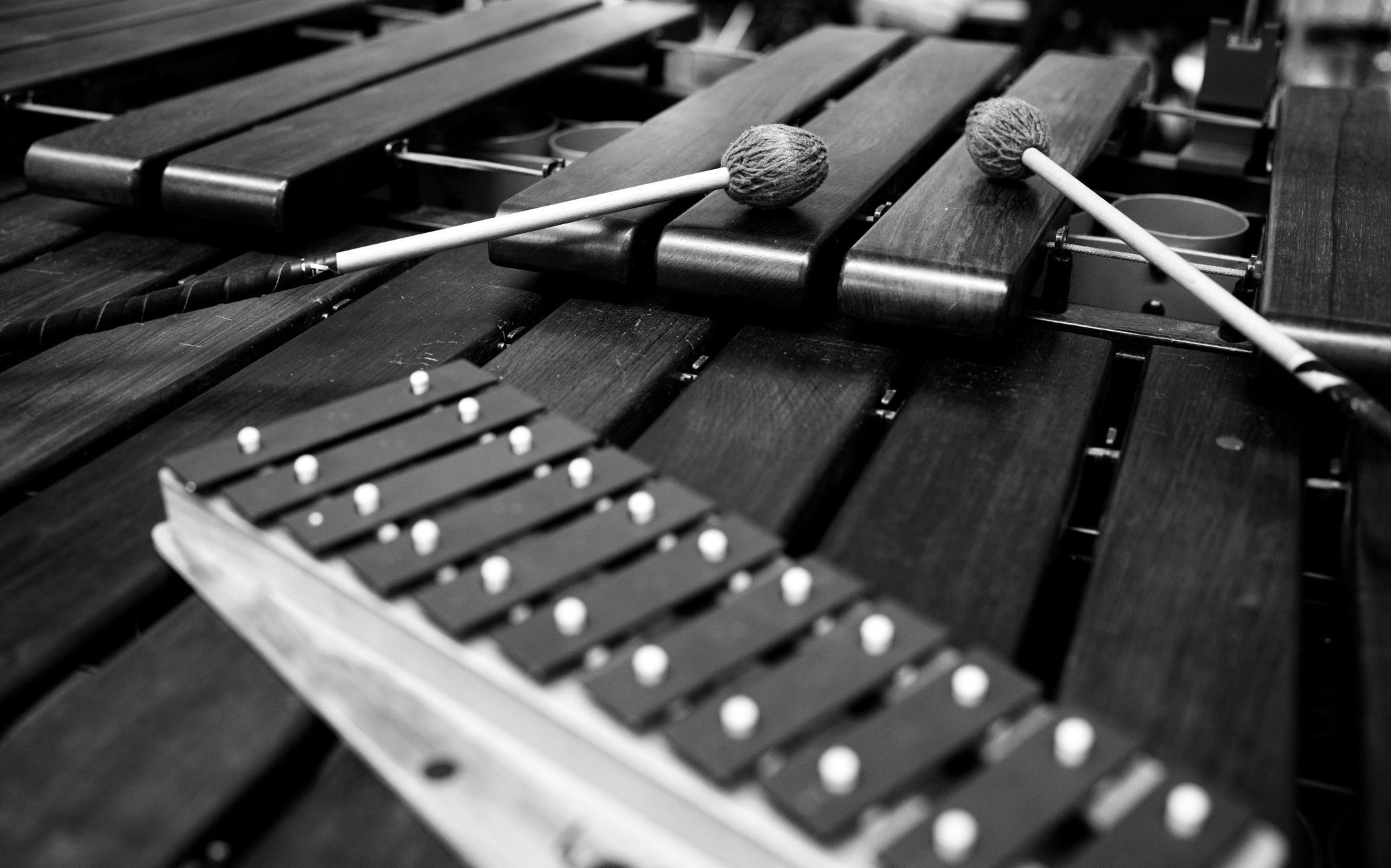 Schwarzweiß Foto: ein Klangspiel liegt auf den Tasten einer Bass Marimba, von schräg vorne fotografiert, um den grössenunterschied zu betonen. Außerdem liegen zwei Schlegel der marimba dekorativ auf deren Tasten.