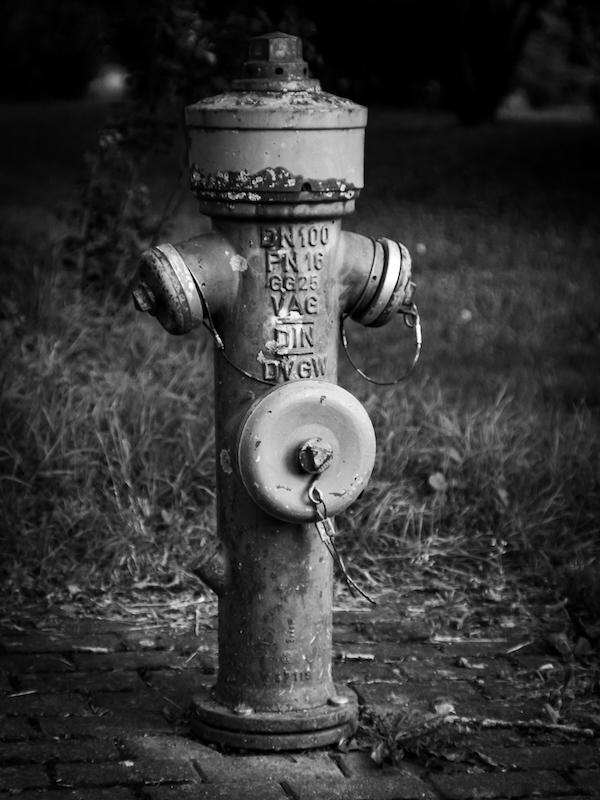 Man sieht einen Hydrant mit drei möglichen Anschlüsse. Im Hintergrund sieht man Gras und kann schwach einige Büsche erkennen. Der Hydrant ist klar und deutlich im Vordergrund zu sehen. Das Foto ist in Schwarzweiß.