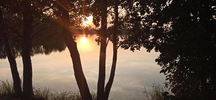 See im Sonnenuntergang, vor dem See stehen 5 Stämme von Schwarzerlen und die Sonne, die sich auf der Wasseroberfläche spiegelt, schaut zwischen die Stämme durch. Der See liegt glatt und wellenlos.