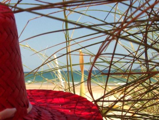 Bild neben einem roten geflochtenem Hut, der im Standhafter liegt, die Kamera plaziert und aus dem Schatten des Strandhafers auf den breiten Sandstrand und das türkusblaue Meer fotografiertl Es liegt verschwommen im Hintergrund, die Halme des Standhafers sind scharf gestellt. 