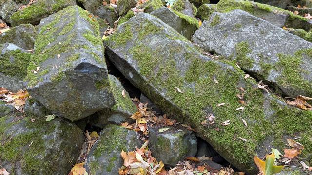Basaltprismen ca. 1 Meter lang, dunkelgrau und stellenweise grün bemoost auf einer Steinhalde im Wald